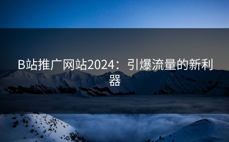 B站推广网站2024：引爆流量的新利器